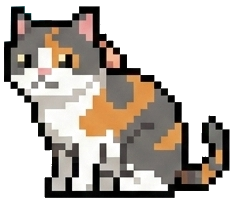 A cat