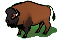 bison