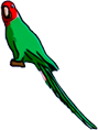 parrot