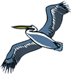 pelican
