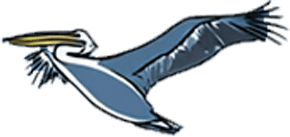pelican