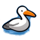 seagull