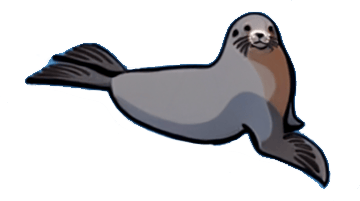 sea-lion